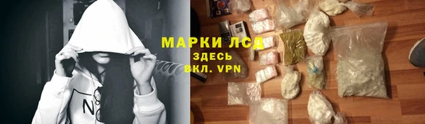 прущий лед Алзамай