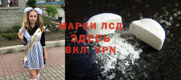 прущий лед Алзамай