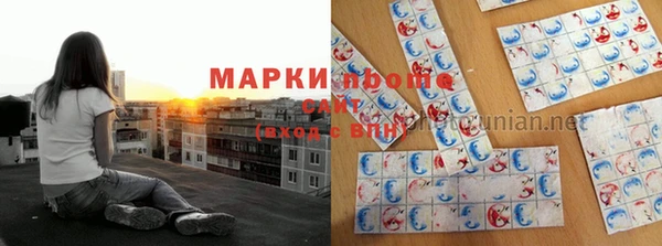 прущий лед Алзамай