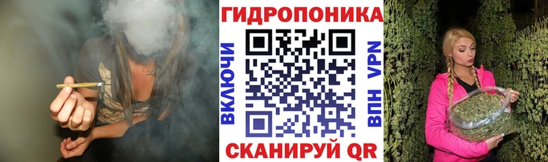 Шишки марихуана AK-47 kraken tor Приозерск купить